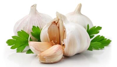 The use of garlic against parasites in the liver